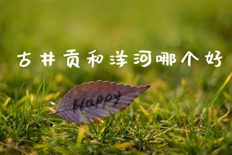 古井贡和洋河哪个好_https://wap.78312.cn_财经新闻_第1张