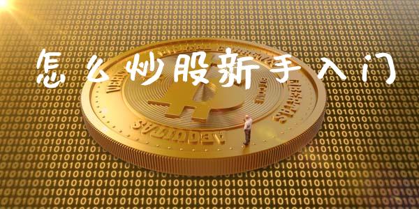 怎么炒股新手入门_https://wap.78312.cn_金融监管_第1张