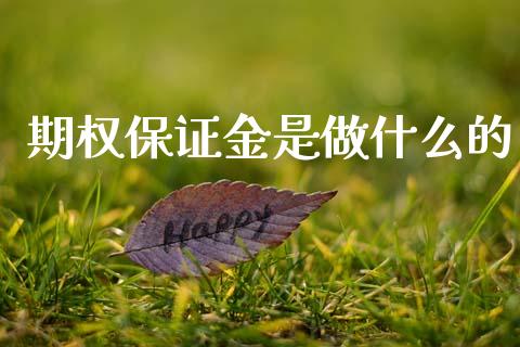 期权保证金是做什么的_https://wap.78312.cn_债券资讯_第1张