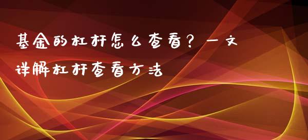 基金的杠杆怎么查看？一文详解杠杆查看方法_https://wap.78312.cn_债券资讯_第1张