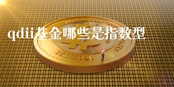 qdii基金哪些是指数型_https://wap.78312.cn_期货开户_第1张