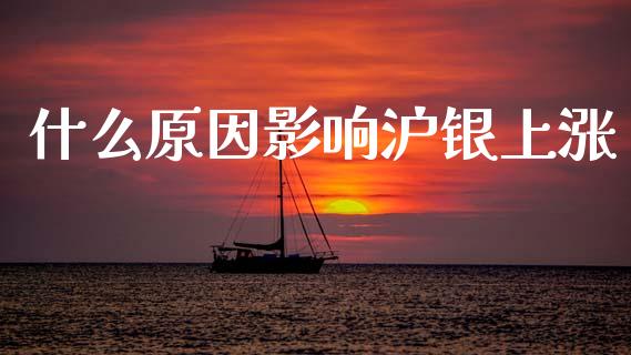 什么原因影响沪银上涨_https://wap.78312.cn_期货开户_第1张