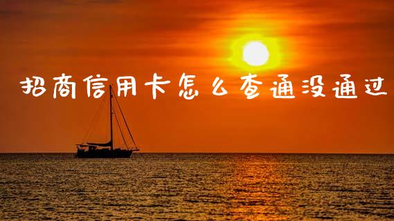 招商信用卡怎么查通没通过_https://wap.78312.cn_全球市场_第1张