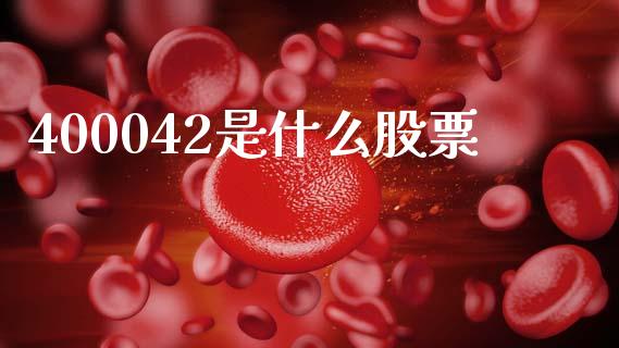 400042是什么股票_https://wap.78312.cn_债券资讯_第1张