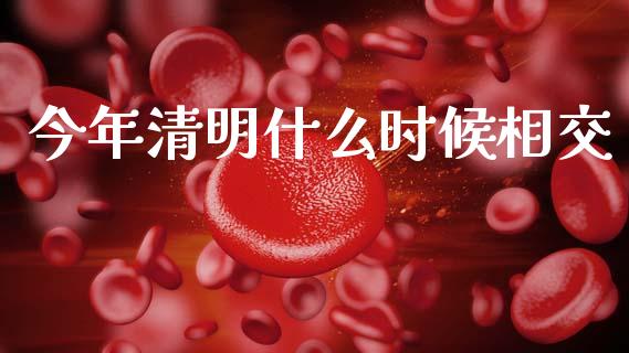 今年清明什么时候相交_https://wap.78312.cn_债券资讯_第1张