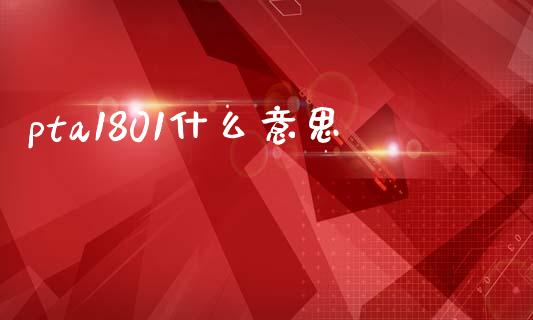 pta1801什么意思_https://wap.78312.cn_债券资讯_第1张