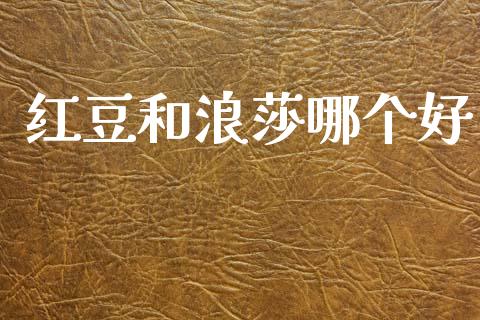 红豆和浪莎哪个好_https://wap.78312.cn_金融监管_第1张