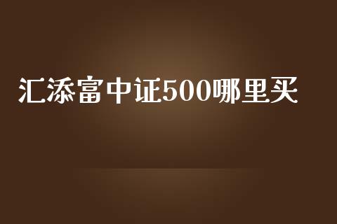 汇添富中证500哪里买_https://wap.78312.cn_财经新闻_第1张
