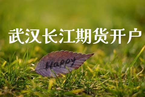 武汉长江期货开户_https://wap.78312.cn_外汇交易_第1张