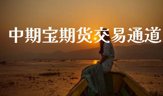中期宝期货交易通道_https://wap.78312.cn_外汇交易_第1张