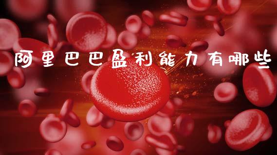 阿里巴巴盈利能力有哪些_https://wap.78312.cn_财经新闻_第1张