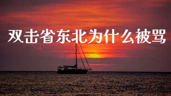 双击省东北为什么被骂_https://wap.78312.cn_期货开户_第1张