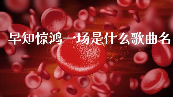 早知惊鸿一场是什么歌曲名_https://wap.78312.cn_财经新闻_第1张