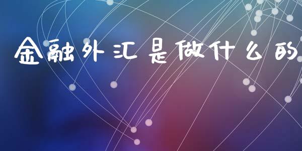 金融外汇是做什么的_https://wap.78312.cn_债券资讯_第1张