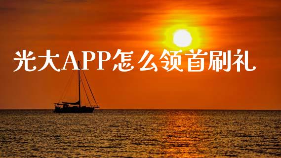 光大APP怎么领首刷礼_https://wap.78312.cn_财经新闻_第1张