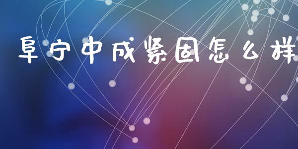 阜宁中成紧固怎么样_https://wap.78312.cn_债券资讯_第1张