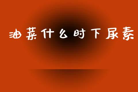 油菜什么时下尿素_债券资讯_第1张_期货开户_金融监管_外汇交易_债券资讯_全球市场_财经新闻 油菜什么时下尿素_https://wap.78312.cn_债券资讯_第1张