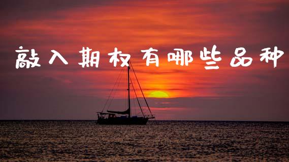 敲入期权有哪些品种_https://wap.78312.cn_外汇交易_第1张