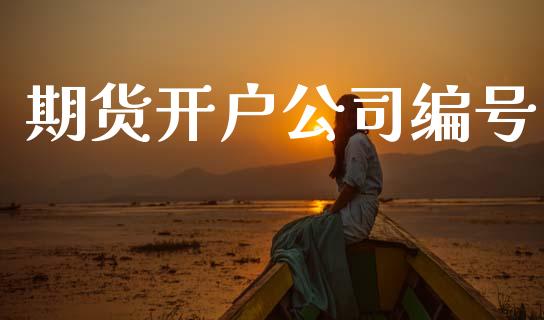 期货开户公司编号_https://wap.78312.cn_金融监管_第1张