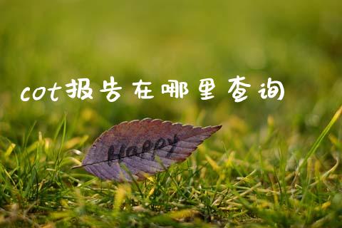 cot报告在哪里查询_https://wap.78312.cn_债券资讯_第1张