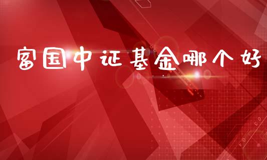 富国中证基金哪个好_https://wap.78312.cn_外汇交易_第1张