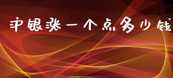 沪银涨一个点多少钱_https://wap.78312.cn_全球市场_第1张