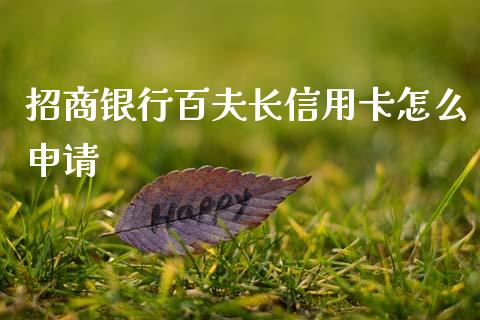 招商银行百夫长信用卡怎么申请_https://wap.78312.cn_财经新闻_第1张