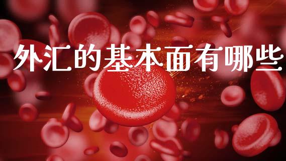 外汇的基本面有哪些_https://wap.78312.cn_期货开户_第1张