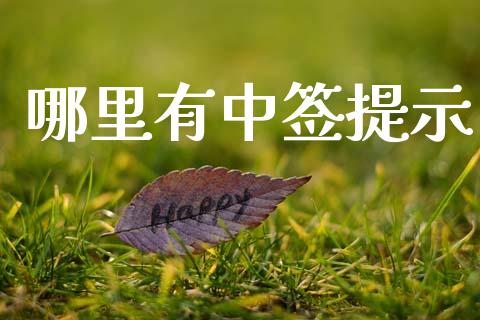 哪里有中签提示_https://wap.78312.cn_全球市场_第1张