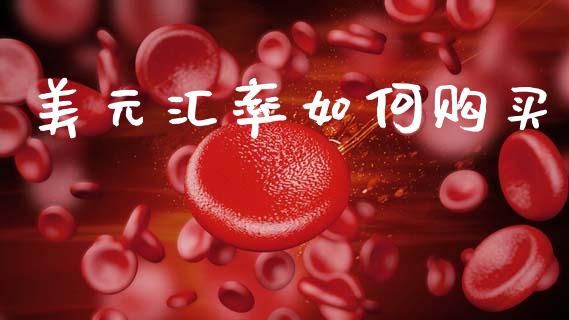 美元汇率如何购买_https://wap.78312.cn_外汇交易_第1张