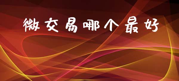 微交易哪个最好_https://wap.78312.cn_外汇交易_第1张