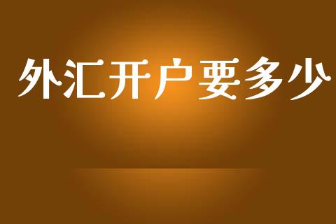 外汇开户要多少_https://wap.78312.cn_债券资讯_第1张
