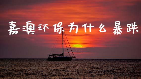 嘉澳环保为什么暴跌_https://wap.78312.cn_债券资讯_第1张