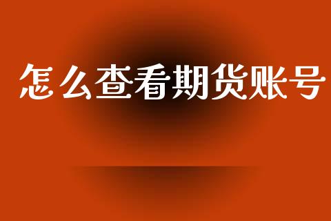 怎么查看期货账号_https://wap.78312.cn_债券资讯_第1张