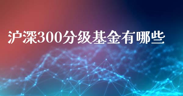 沪深300分级基金有哪些_https://wap.78312.cn_期货开户_第1张