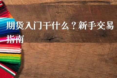 期货入门干什么？新手交易指南_https://wap.78312.cn_外汇交易_第1张