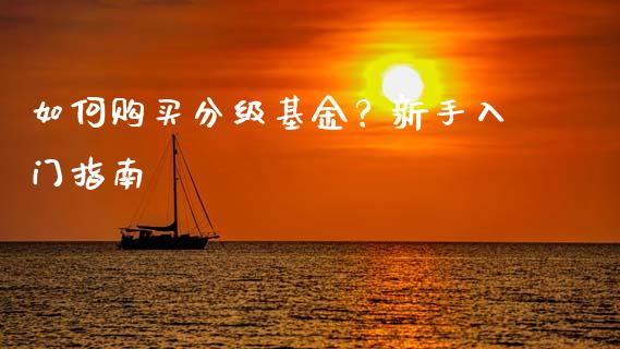 如何购买分级基金？新手入门指南_https://wap.78312.cn_全球市场_第1张