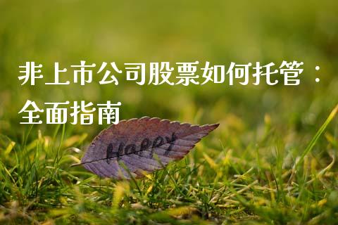 非上市公司股票如何托管：全面指南_https://wap.78312.cn_债券资讯_第1张