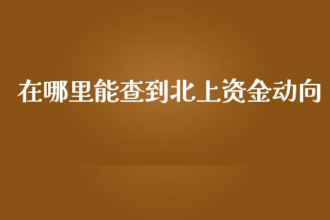 在哪里能查到北上资金动向_https://wap.78312.cn_外汇交易_第1张