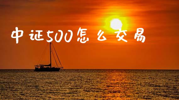 中证500怎么交易_https://wap.78312.cn_外汇交易_第1张