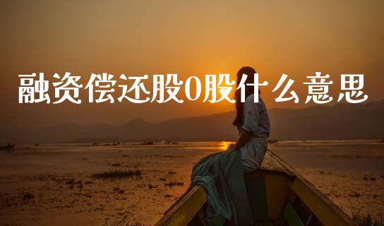 融资偿还股0股什么意思_https://wap.78312.cn_财经新闻_第1张