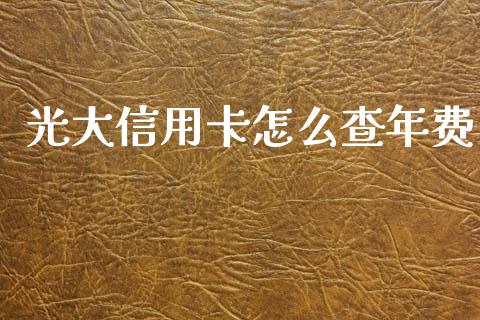光大信用卡怎么查年费_https://wap.78312.cn_外汇交易_第1张