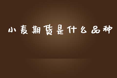 小麦期货是什么品种_https://wap.78312.cn_财经新闻_第1张