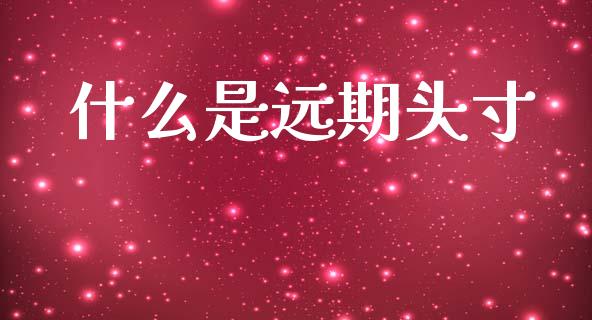 什么是远期头寸_https://wap.78312.cn_外汇交易_第1张