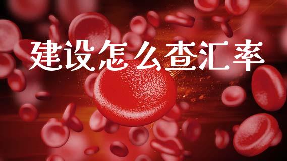 建设怎么查汇率_https://wap.78312.cn_债券资讯_第1张