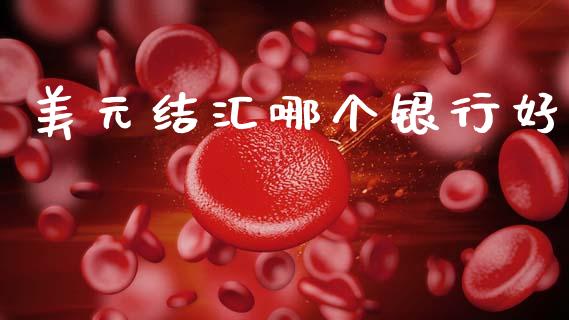 美元结汇哪个银行好_https://wap.78312.cn_财经新闻_第1张