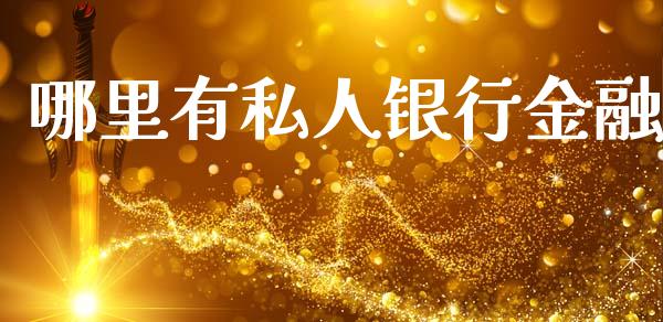 哪里有私人银行金融_https://wap.78312.cn_债券资讯_第1张