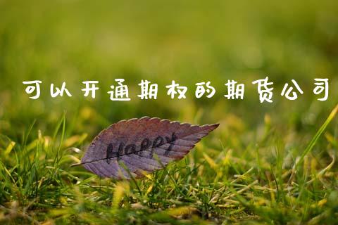 可以开通期权的期货公司_https://wap.78312.cn_财经新闻_第1张