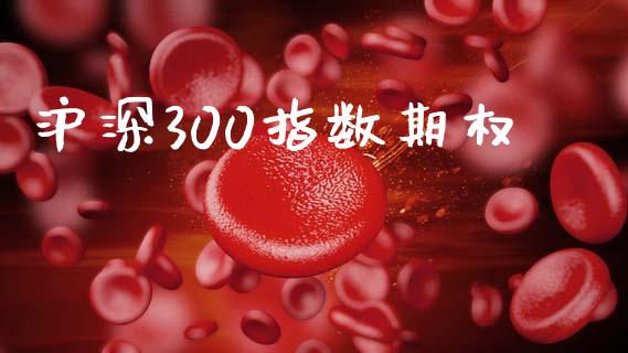 沪深300指数期权_https://wap.78312.cn_期货开户_第1张