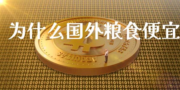 为什么国外粮食便宜_https://wap.78312.cn_全球市场_第1张